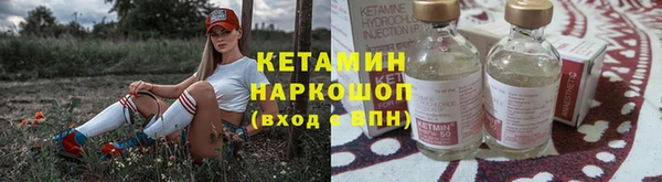 сатива Покачи
