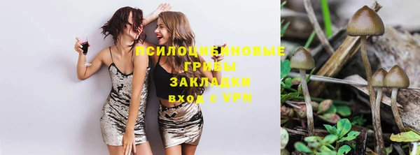 кокс Алексеевка