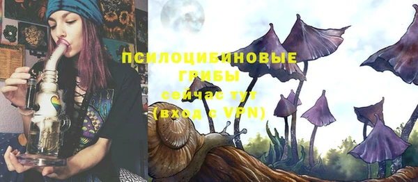 спиды Алзамай
