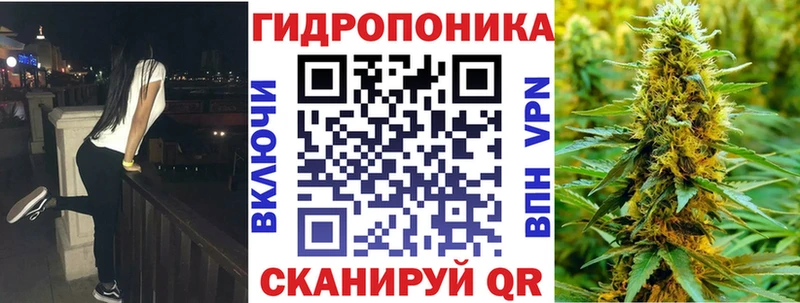 Бошки марихуана THC 21%  Сураж 